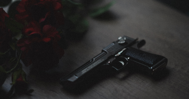 pistol-rose-photo