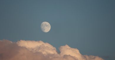 Earth's moon in a nearly-day sky, hanging above a line of clouds.